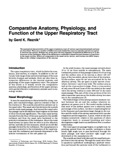 Comparative Anatomy, Physiology, and Function of