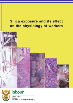 Silica exposure and its effect on the physiology of workers