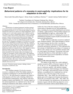 Behavioral patterns of a manatee in semi-captivity