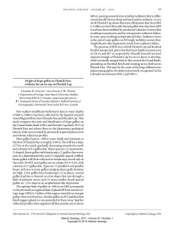 Origin of slope gullies in Flemish Pass: evidence for an ice cap on