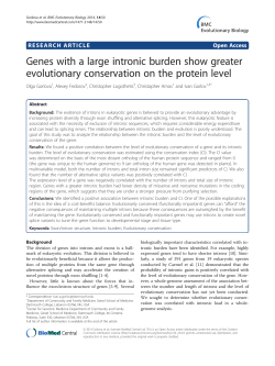 Genes with a large intronic burden show greater evolutionary