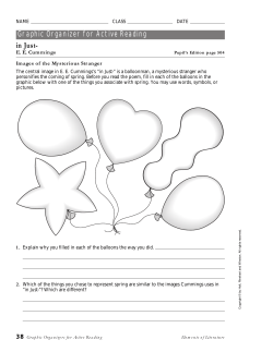 Graphic Organizer - mr