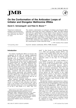 On the Conformation of the Anticodon Loops of Initiator and