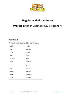 Singular and Plural Nouns Worksheets for