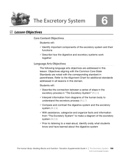 The Excretory System