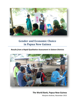 Gender and Economic Choice in Papua New Guinea