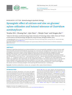 Synergistic effect of calcium and zinc on glucose/xylose utilization
