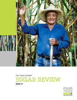 Sugar Impact Report
