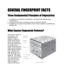 general fingerprint facts