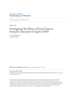 Investigating The Effects of Food Chain on Sympatric Speciation