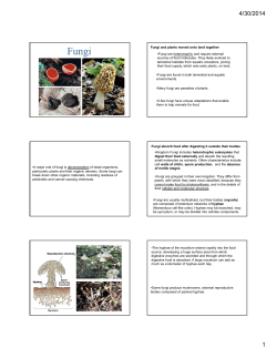 Fungi and plants moved onto land together •Fungi are heterotrophic