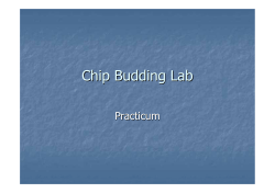 Chip Budding Lab