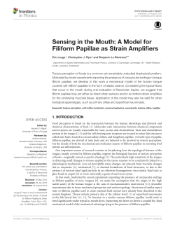 Sensing in the Mouth: A Model for Filiform Papillae as Strain
