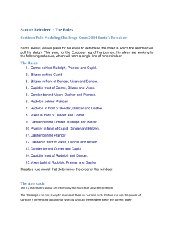 Santa`s Reindeer - The Rules