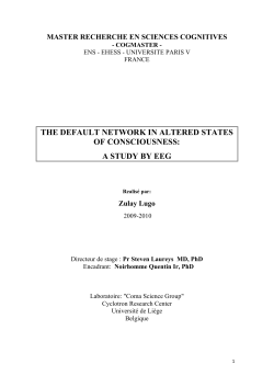 the default network in altered states of consciousness