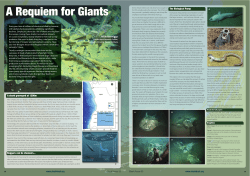 A Requiem for Giants