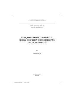 gaba receptors in experimental models of epilepsy in the