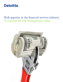 Risk Appetite in the Financial Services Industry