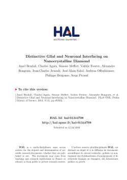 Distinctive Glial and Neuronal Interfacing on