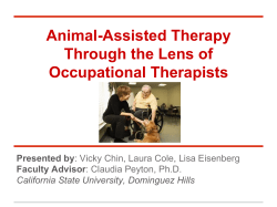 Animal-Assisted Therapy Through the Lens