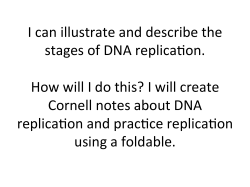 DNA Replication Presentation
