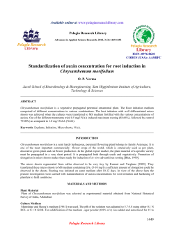 Standardization of auxin concentration for root induction