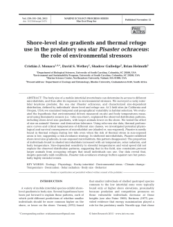 Shore-level size gradients and thermal refuge use in the predatory
