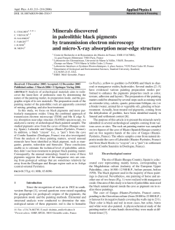 Minerals discovered in paleolithic black pigments by
