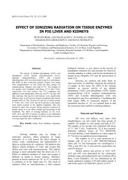 effect of ionizing radiation on tissue enzymes in pig liver and kidneys