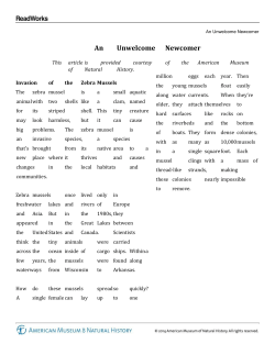 Zebra Mussels - Watervliet City Schools