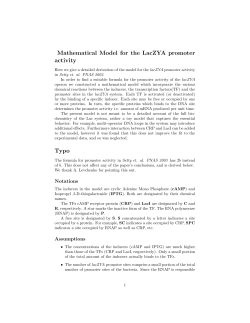 Mathematical Model for the LacZYA promoter activity Typo
