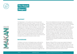 The Naqab (Negev)