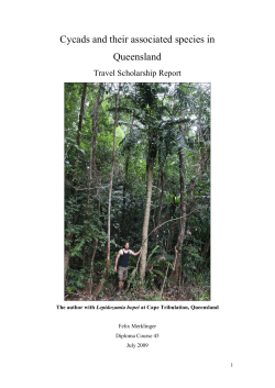 final report - The Cycad Society