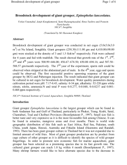 Broodstock development of giant grouper