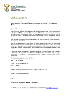 Department of Water and Sanitation to clean a tributary of