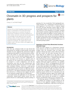 Chromatin in 3D: progress and prospects for plants