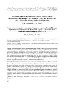 Taxonomic notes on the scabrinodis