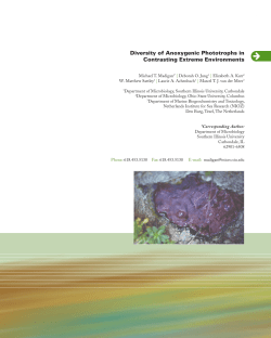 Diversity of Anoxygenic Phototrophs in Contrasting Extreme