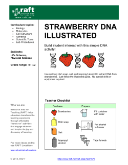 Strawberry DNA Illustrated