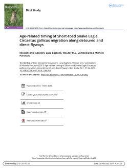 Age-related timing of Short-toed Snake Eagle