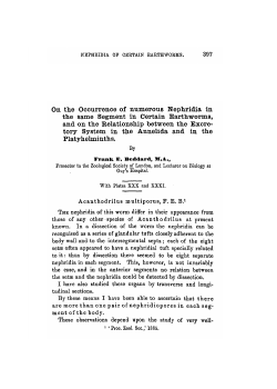 On the Occurrence of numerous Nephridia in the same Segment in
