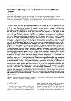 Photosynthesis, Photorespiration and Productivity of Wheat and