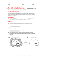 1.4 Cell In Environment Guided Reading