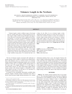 Telomere Length in the Newborn