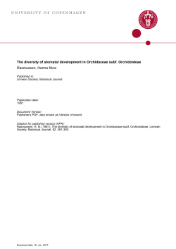 univERsity oF copEnhAGEn