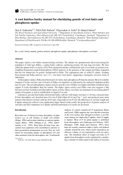 A root hairless barley mutant for elucidating genetic of root hairs and