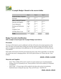 Example Budget- Round to the nearest dollar Budget Narrative