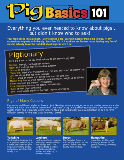 Pigtionary