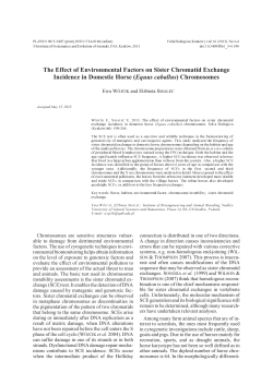 (Equus caballus) chromosomes