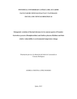 PONTIFICIA UNIVERSIDAD CAT&Oacute;LICA DEL ECUADOR